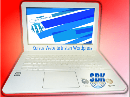 Website Instant WordPress